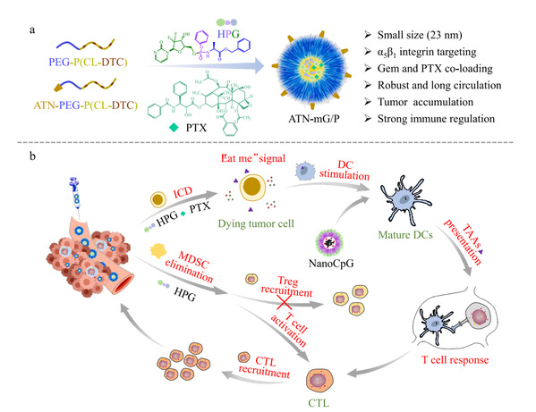 Bioactive Mater.2023, 25, 61-72.