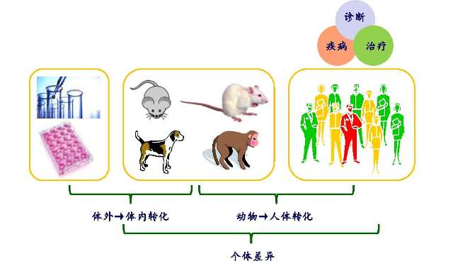 药物代谢动力学研究平台 （更新版）_页面_1.jpg