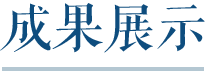 成果展示